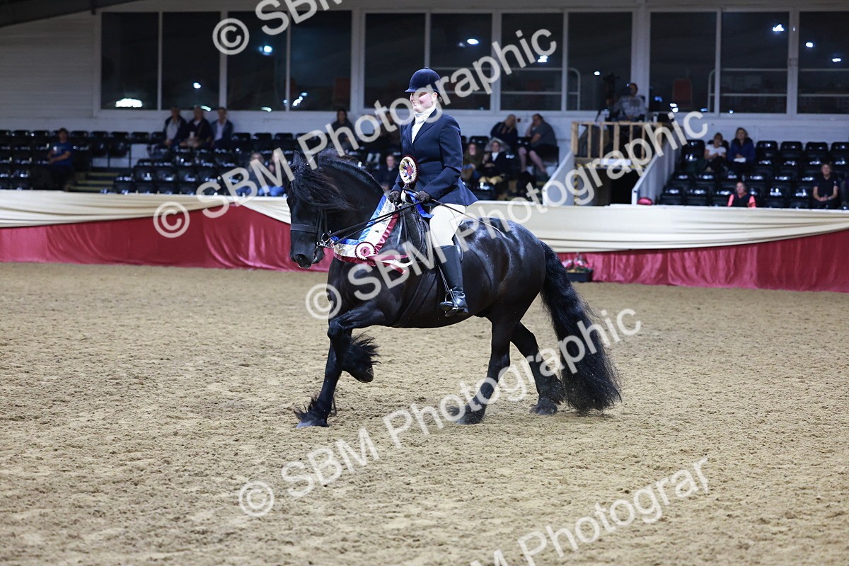 SBM_20925 - Class M - Equitation Champ