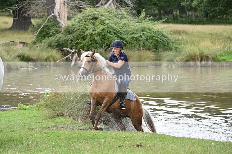 WJ7_0674 - Time at Water 09:19 to 10:04