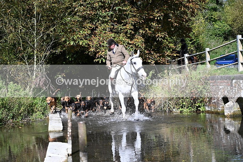 WJ7_5926 - Hounds Water Crossing