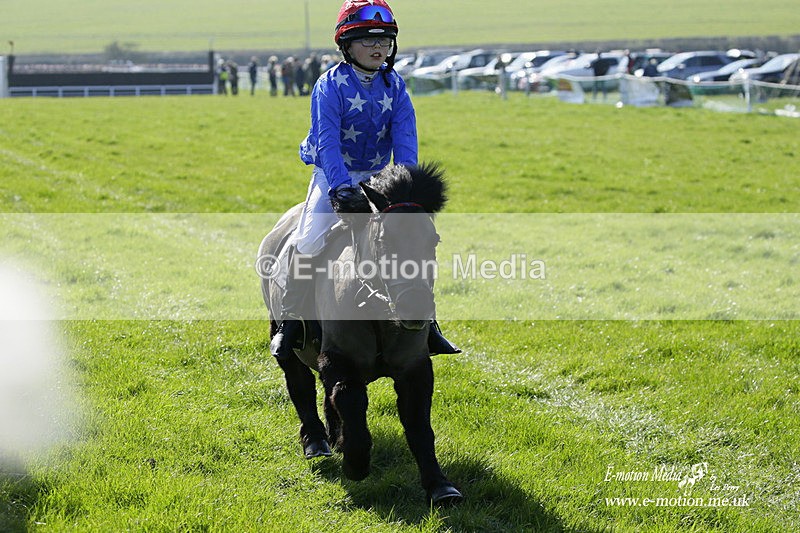 PtP 190322 45 - Wilton Hunt PtP Milborne St Andrew 19/03/22