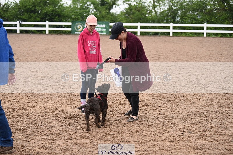 240518A-132950-01310 - Cls 8 Dog the judge would most like to take home