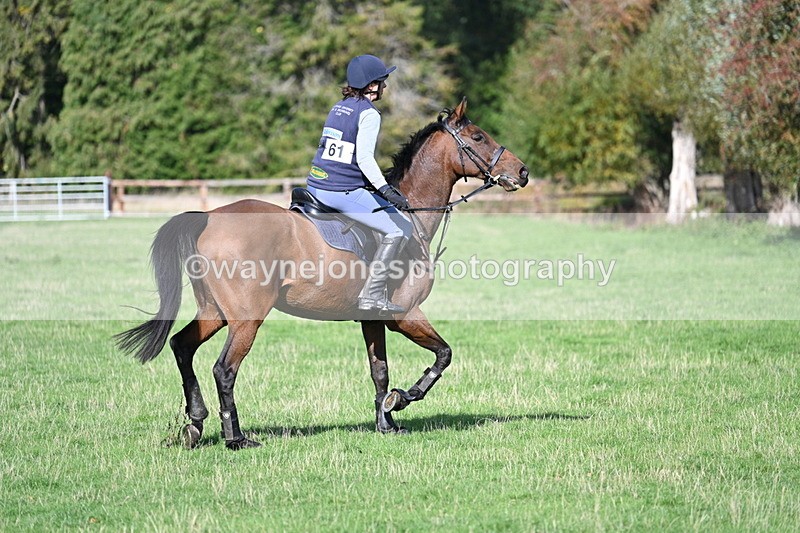 WJ7_7998 - Time 11:40 to 12:12