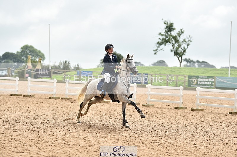 230902A-120830-00942 - Cls 2B Pony Small 80cm