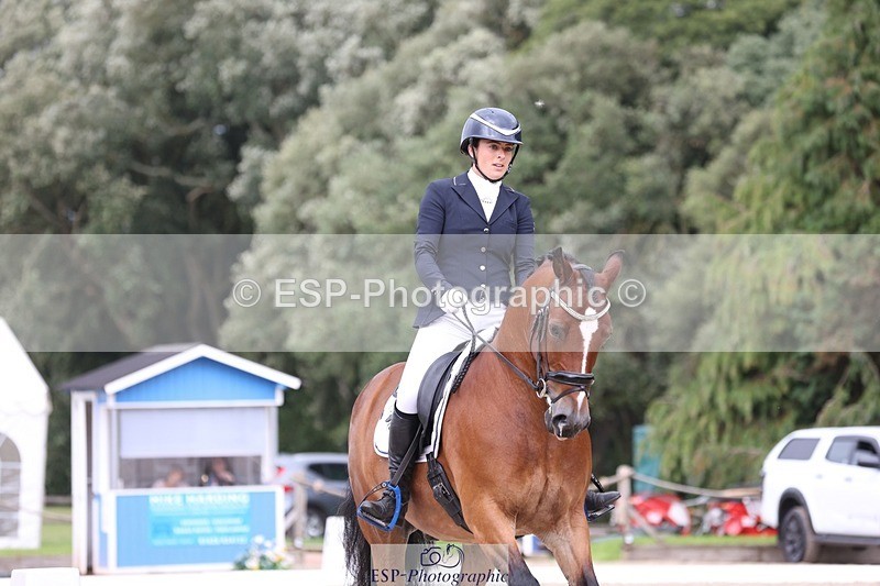 230812-151026-05069 - Cls 5 Novice Bronze 15.00 to End