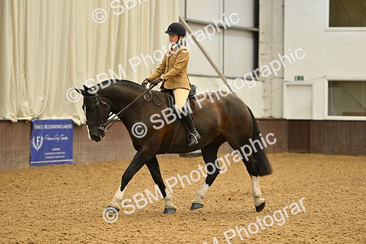 SBM_002027 - Class 21 - BSHA Ridden Show Cob