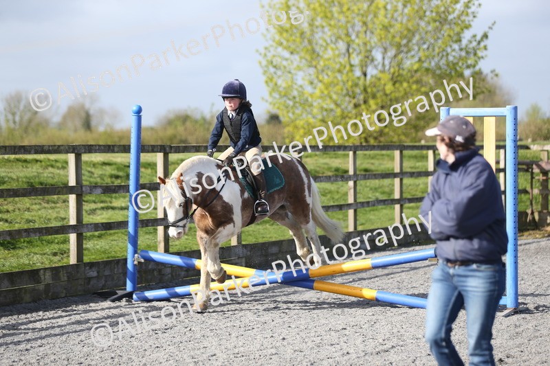 20260412-0059 - Show Jumping
