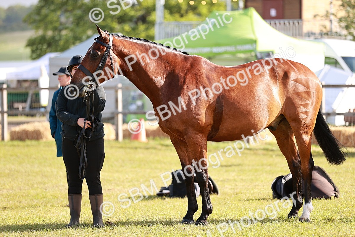 SBM_10802 - Class 81-84 - RIHS Ridden hunters Inc Ladies Hunter