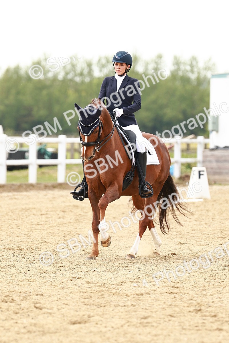 SBM_002765 - Class 12 - Medium 4