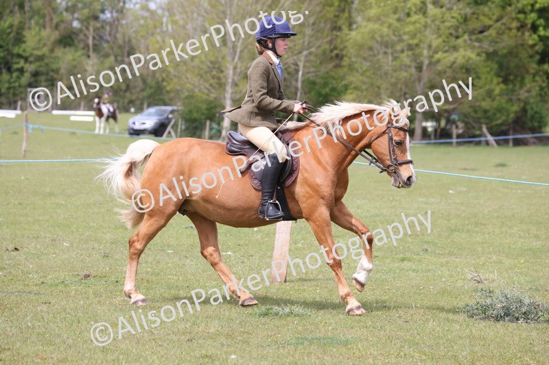 20260426-2968 - Class 33 - Best Pony 14.2hh and Under