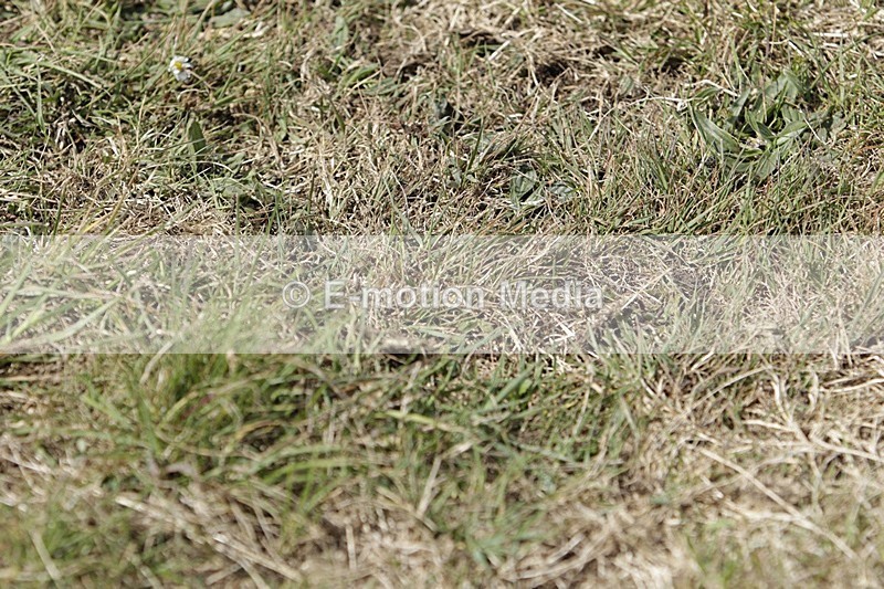 BVHT 140517 I-657 - Class 1 SJ Intermediate 14/05/17