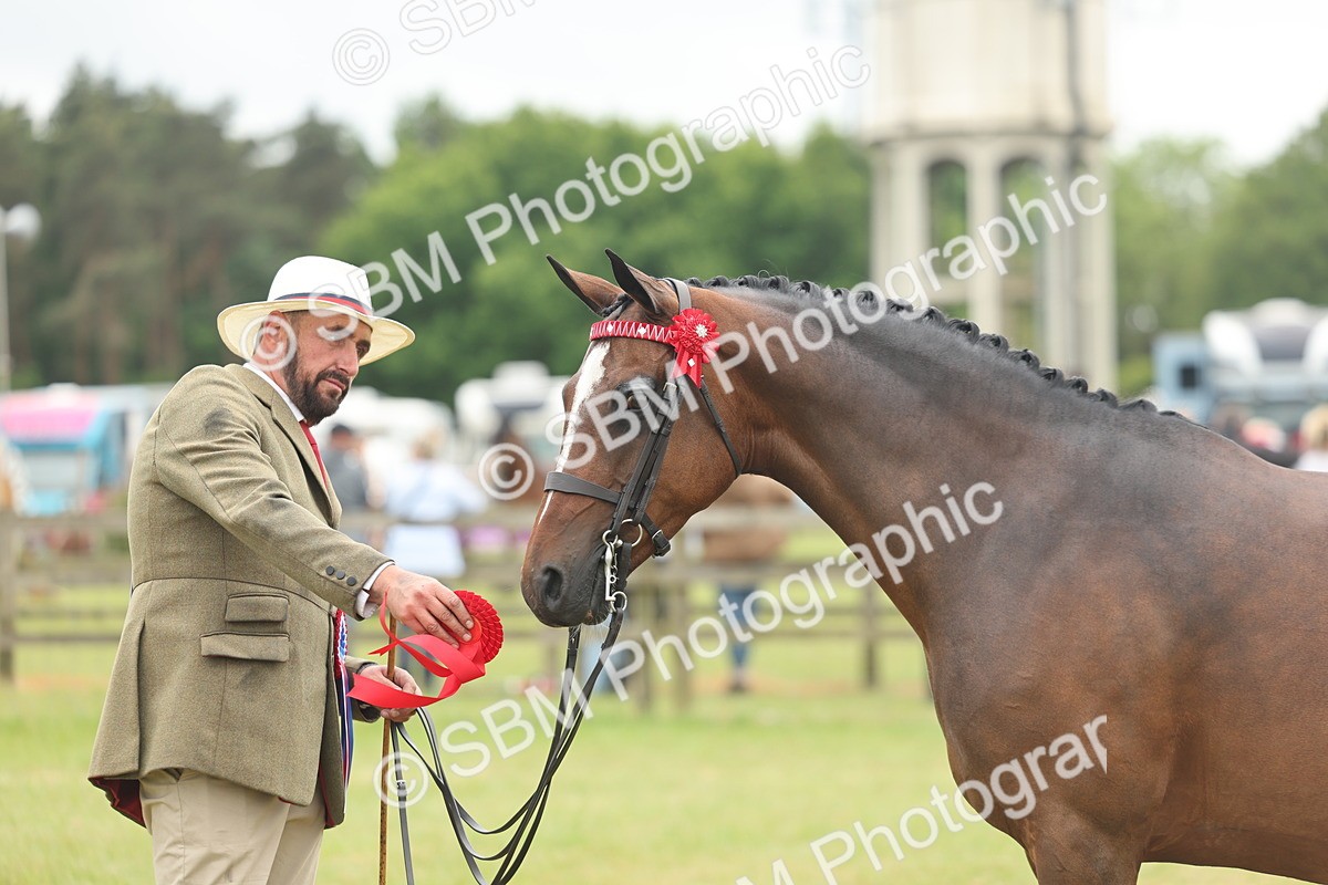 SBM_05598 - Class 68-73 - Riding Pony Breeding
