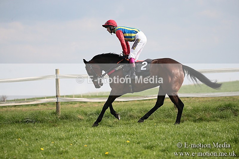 PtP 210418 402 - South & West Wilts Point-to-Point Larkhill 21/04/18
