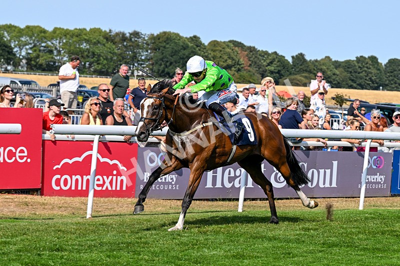 130826-Race 4-Shazani-9097 - Race 4 15.45pm Connexin Super Fast Sprint Handicap
