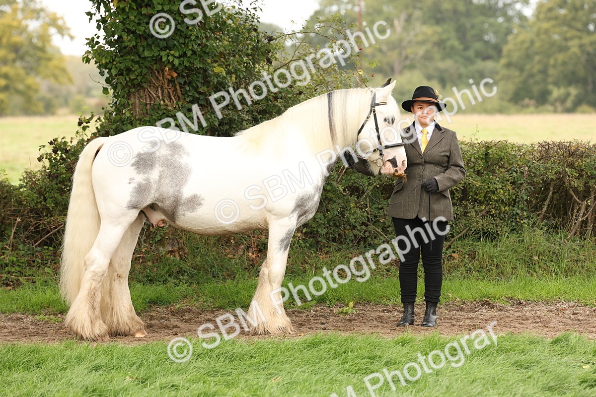 SBM_59235 - S57 - Traditional Cob In Hand