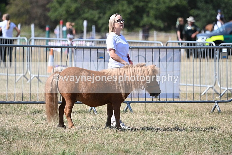 WJ6_9126 - Championship Classes 33-38