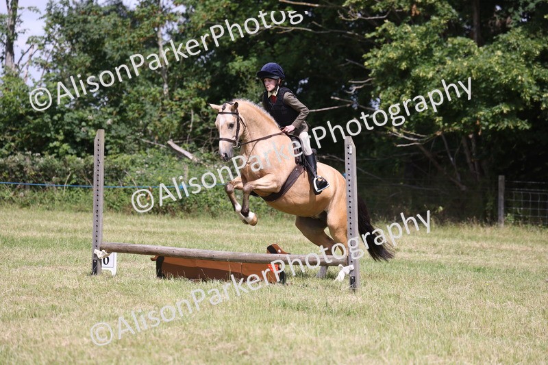 20260614-1777 - Class 21 - Novice Working Hunter Pony