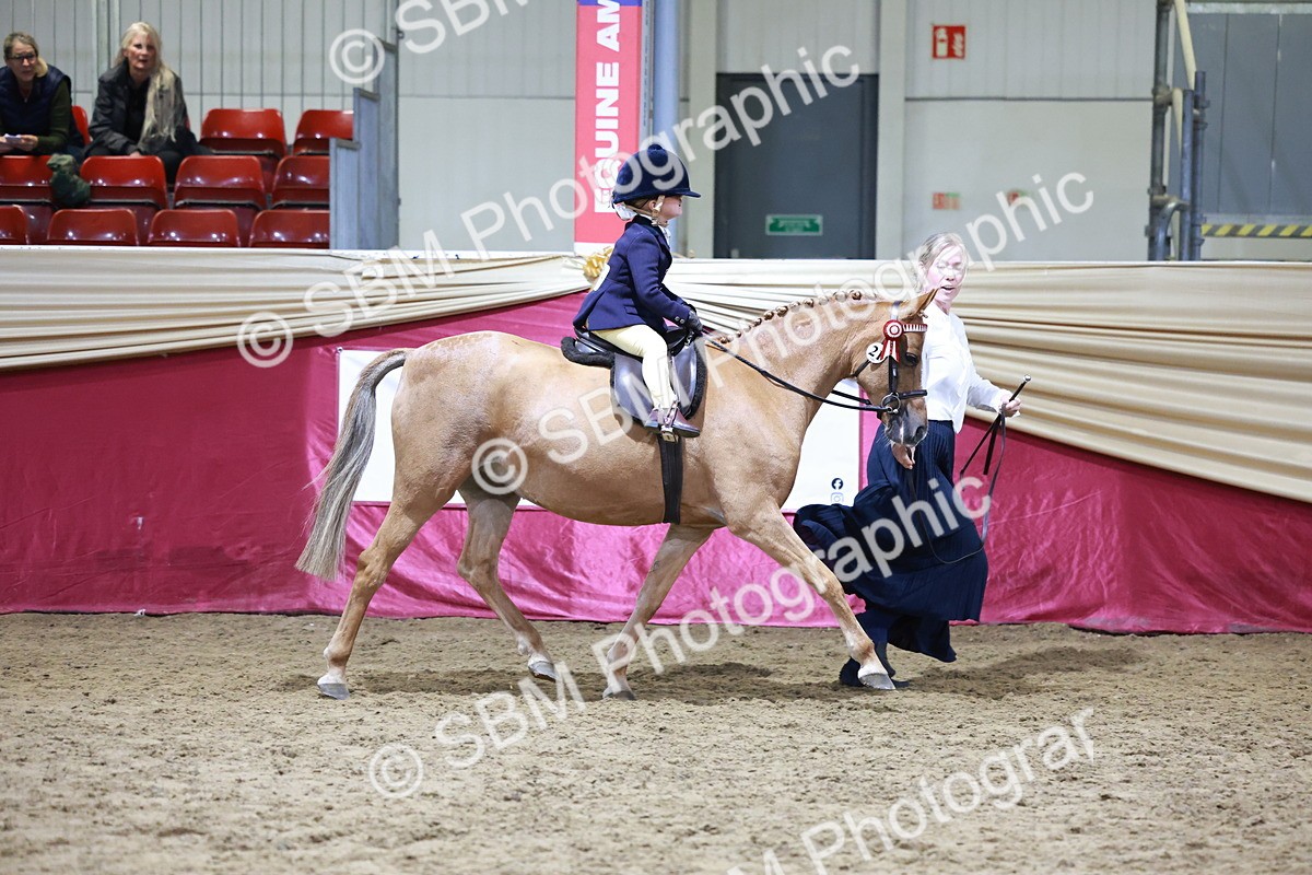 SBM_20548 - Class H - IH Competition - Riding Club champ