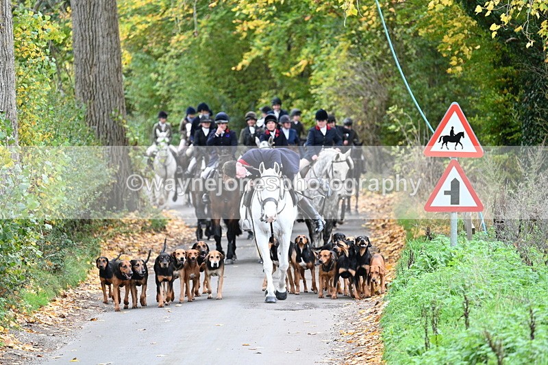 WJ7_7103 - Walk Home..