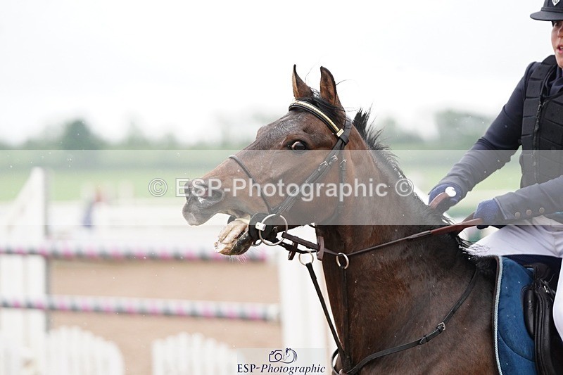 250607-134014-01210 - Cls 34 Stepping Stones