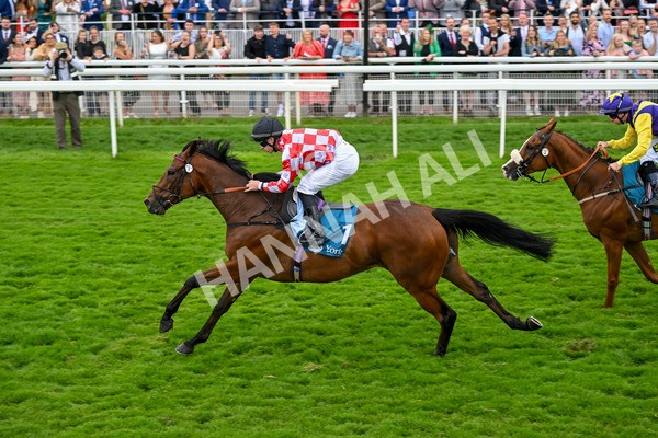 270724-Race 6-Ziggy-7544 - Race 6 5.10pm Sky Bet, For The Fans Handicap