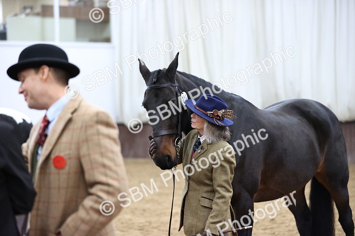 SBM_5667 - Class 40 - RESS In Hand Qualifier