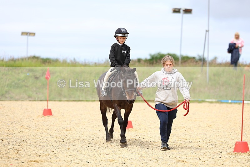 3E7A9370 - Walk trot run