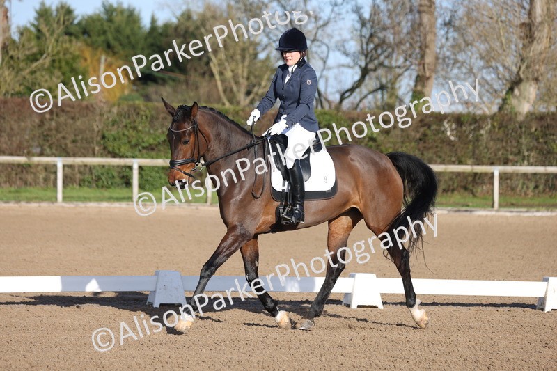 20260128-0204 - Class 3 - Novice 4