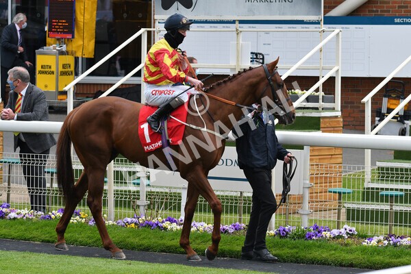 yr14052021r4-6 - Race 4 3.10pm The Matchbook Yorkshire Cup