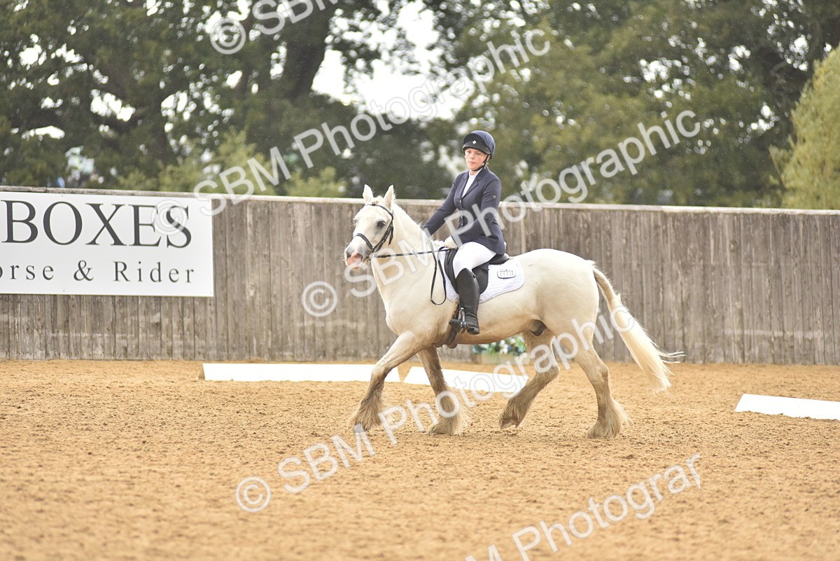 SBM_42417 - D22 - Junior Championship Intro 3
