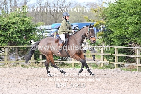 BPP_6915 - RING 1  (RIDDEN HORSES / IN HAND / VETERAN ETC)