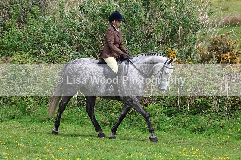 3E7A1679 - Class 9: Riding Club Horse/Pony