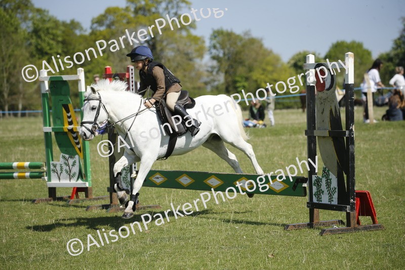 20250427-2217 - Class 13 - Novice Jumping 60cm