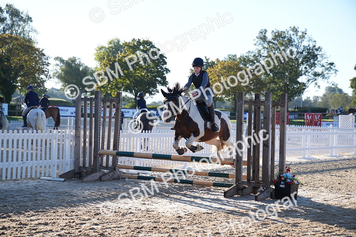 SBM_14037 - J59 - Clear Round - 65cm