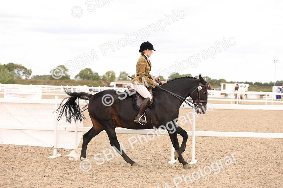 SBM_16484 - Class 212 - Ridden Hunter - Small