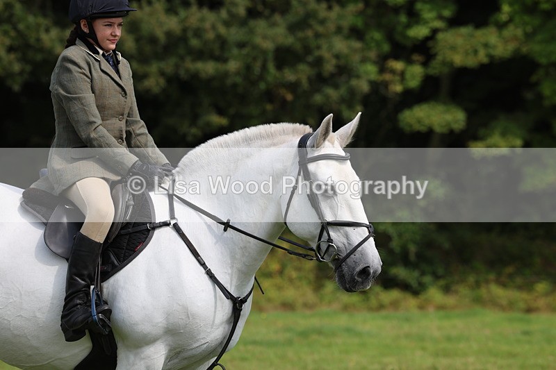 3E7A6010 - Class 28: 75cm Working Hunter