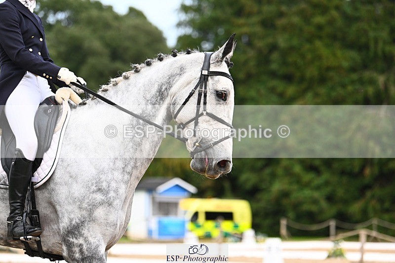 231020-165327-12410 - 316-I.ELLIE.JAY.BUMBLE-Henrietta.Ewell-DR