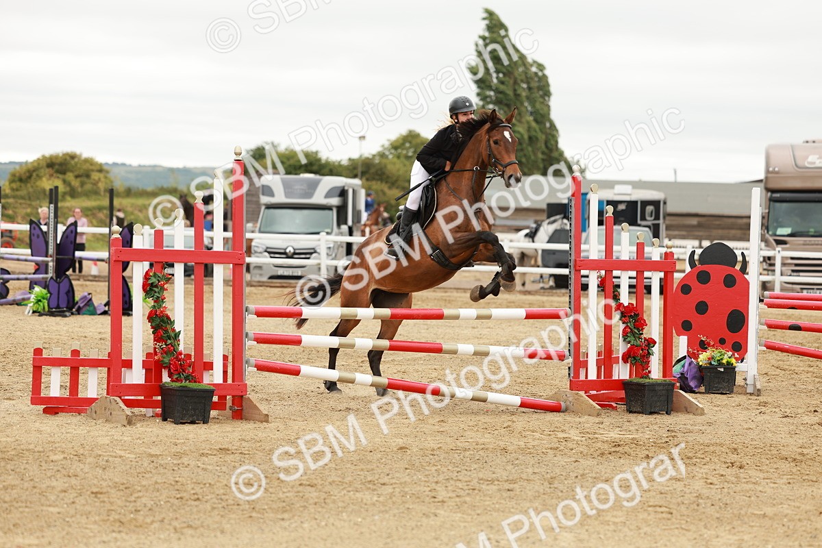 SBM_006530 - Class 1 - Senior British Novice - 90cm Open