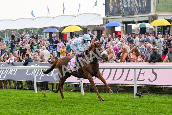 170524-Race 4-Giavellotto-8096 - Race 4 3.45pm Boodles Yorkshire Cup Stakes