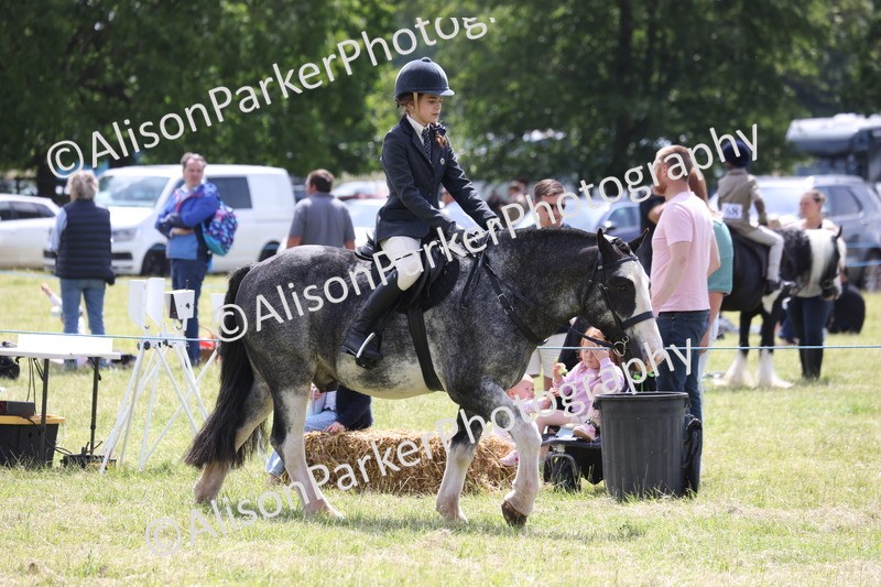 20260614-1953 - Class 21 - Novice Working Hunter Pony