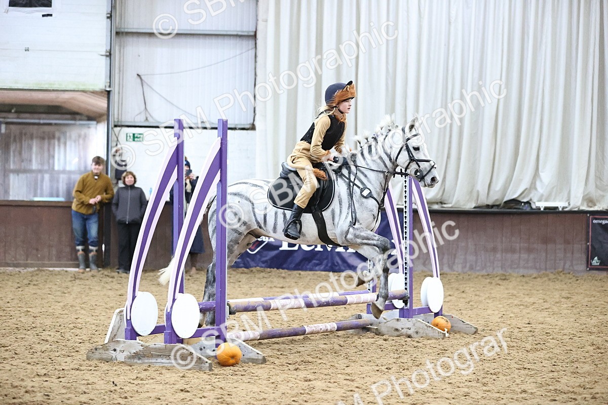 SBM_001269 - Class 3 - Horse & Hound 60cm