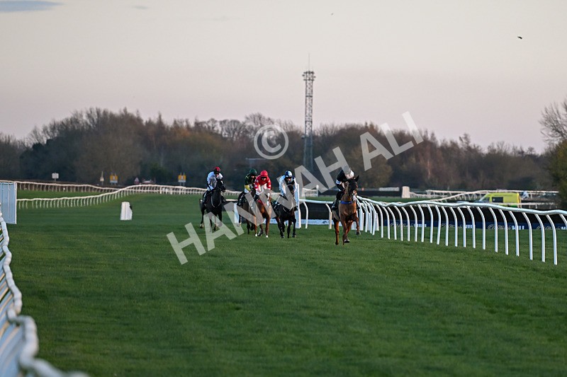 221124-Race 7-Kids Say Lastgojoe-5564 - Race 7