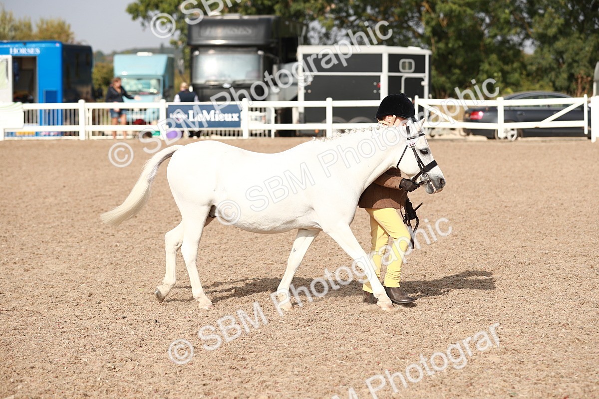 SBM_11023 - Class 205 IH Show Pony/ Show Hunter Pony