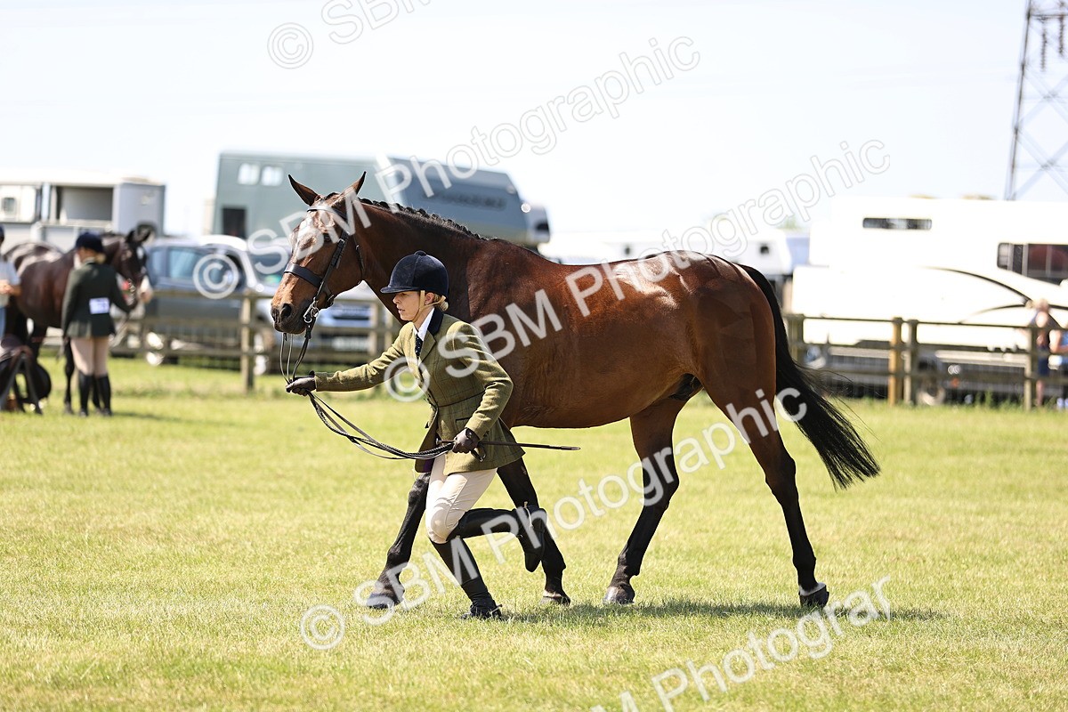 SBM_15195 - Class 79-80 - LIHS BSHA Rising Star Ridden Hunter