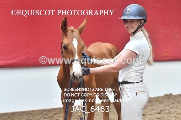 JAC_6463 - 19 Luca