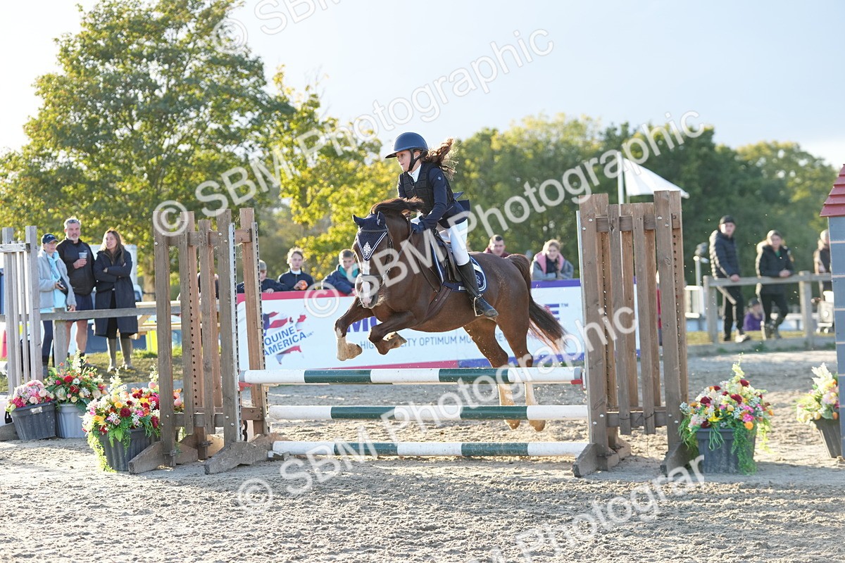 SBM_54133 - Supreme Championship 60cm 65cm