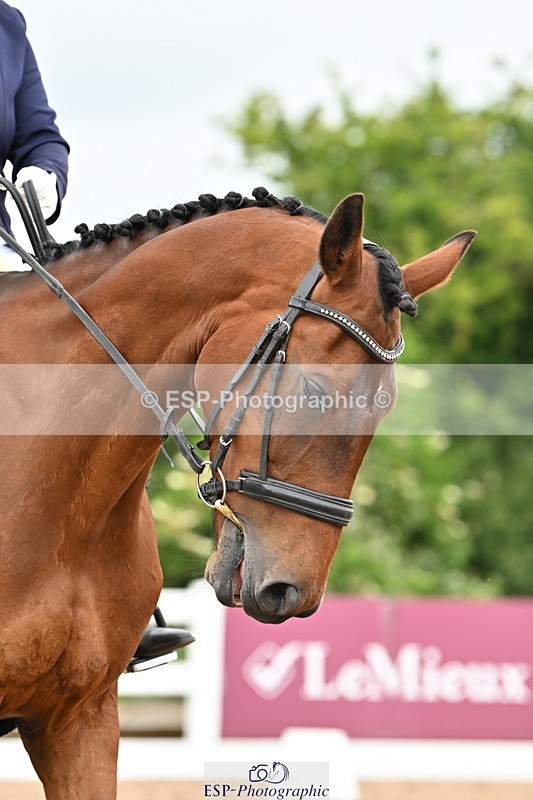 240623A-113337-17517 - Cls 48 BD Novice 37A