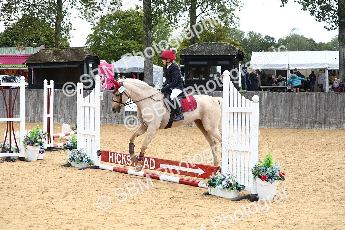 SBM_68164 - J3b - Mini Tour Junior Pony 40cm Championship