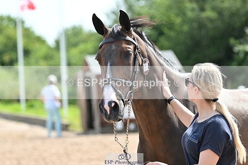 240717A-154628-03062 - Trot Up 3pm to 4pm