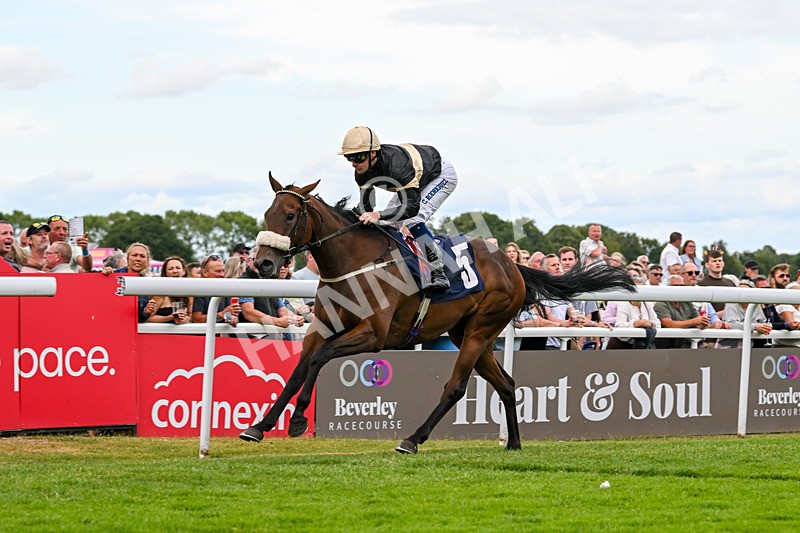 050725-Race 7-Dollys Delight-9770 - Race 7