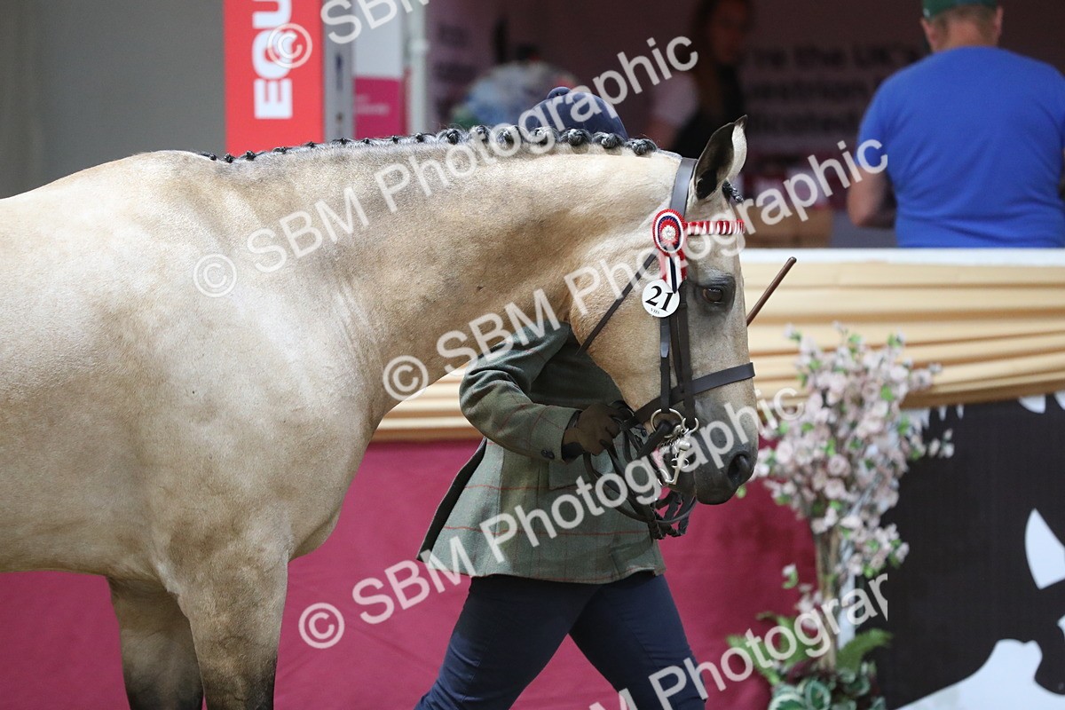 SBM_06510 - Regional IH Champ